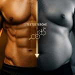 body fat and testosterone